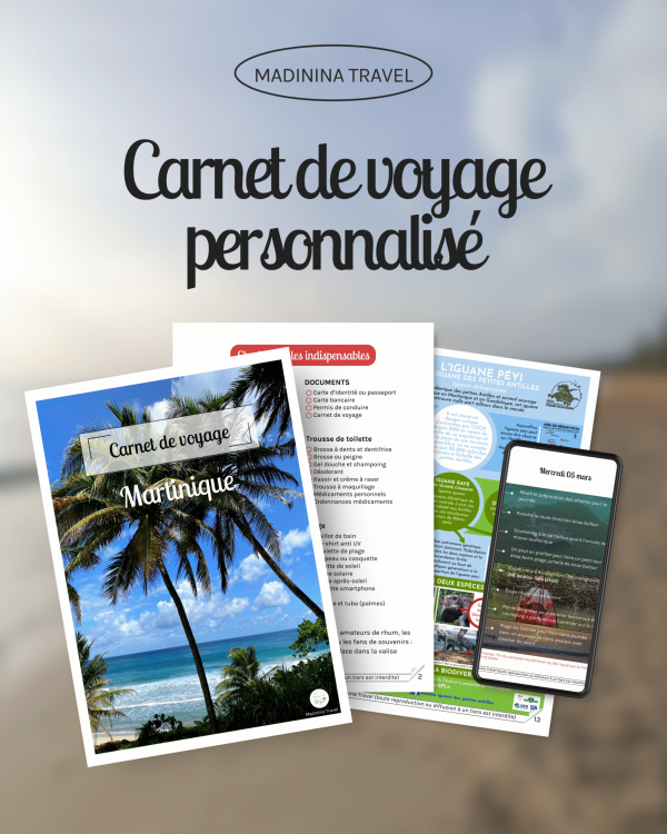 Carnet de voyage personnalisé – spécial Martinique – Image 2