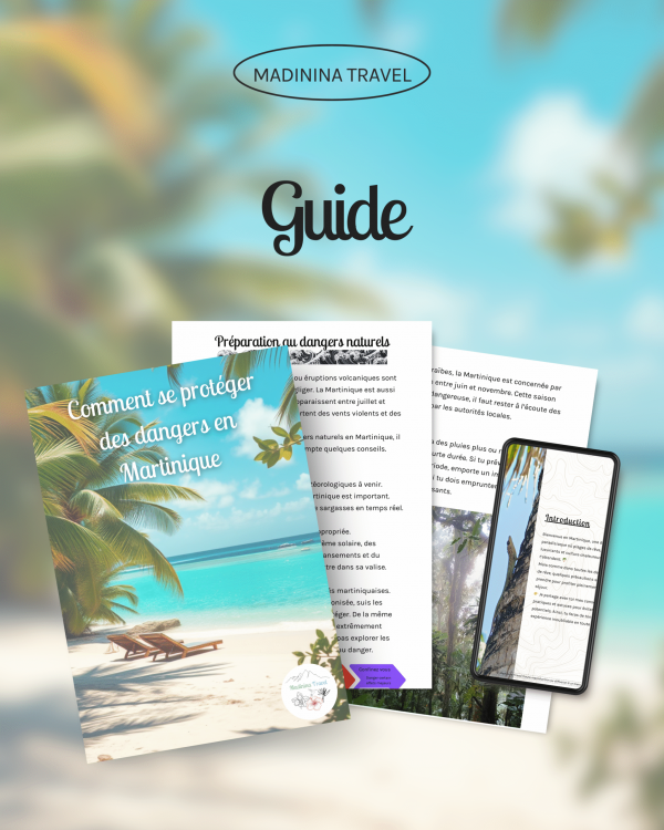 Guide des dangers en Martinique : voyage serein et sécurisé – Image 2