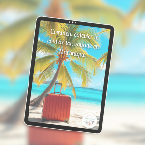 Guide budget voyage Martinique : estime ton budget facilement