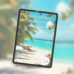 Guide des dangers en Martinique : voyage serein et sécurisé
