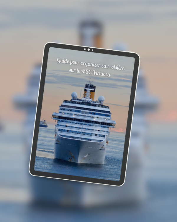 Guide pour organiser sa croisière sur le MSC Virtuosa